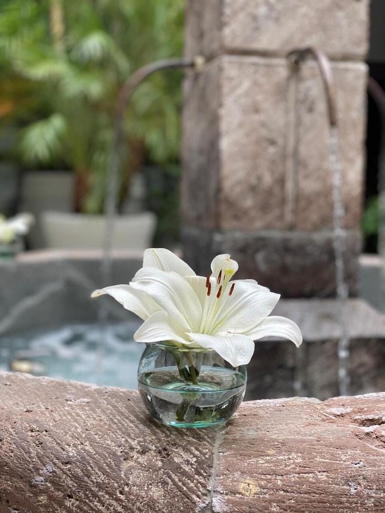 Hotel Boutique Hacienda Guadalupe Сан-Міґель-де-Альєнде Екстер'єр фото
